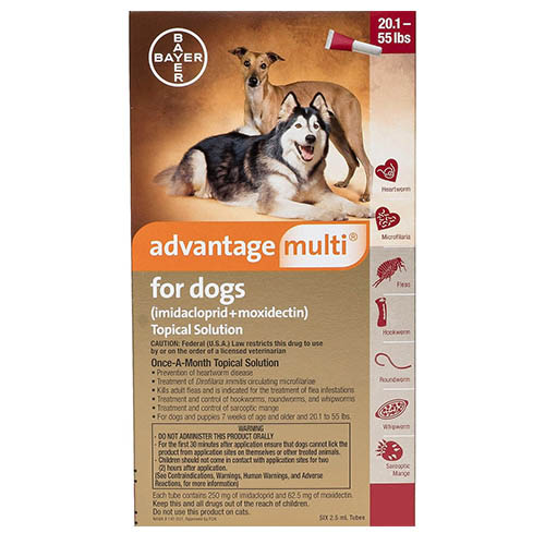 Advantage Multi (Advocate)